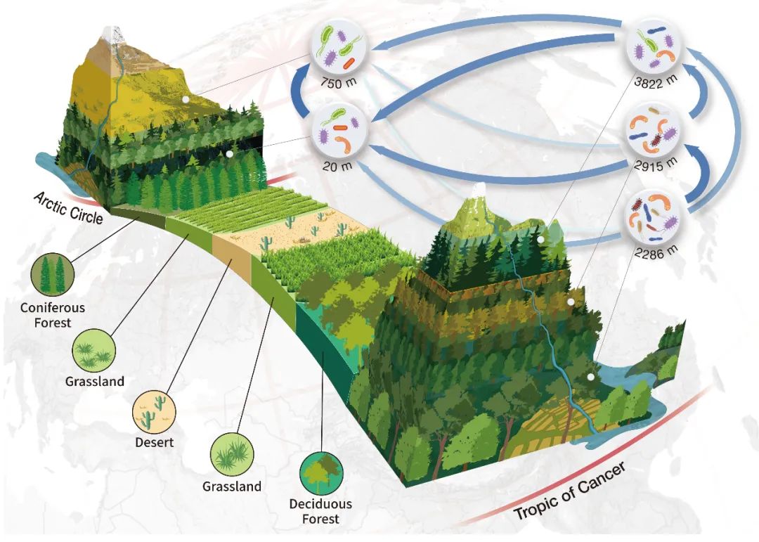 排名专业第一英文_ecosystem science专业排名_排名专业前列
