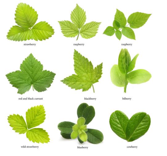 方维团购系统v4.2源码_开源团购系统_团购app源码