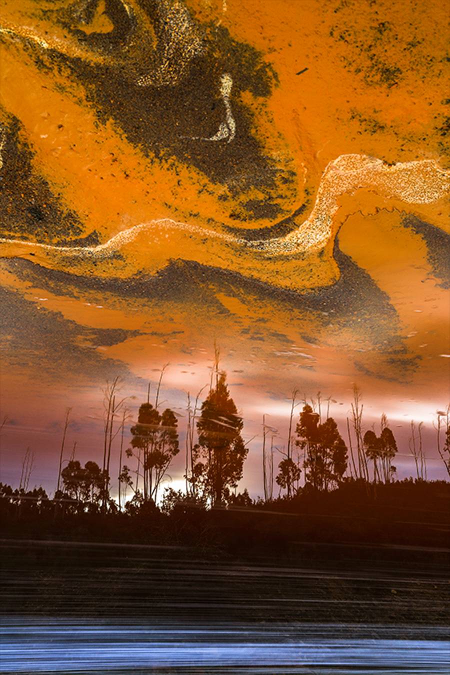 造句网_造句搞笑_ecosystem造句