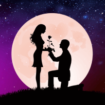 乖玫瑰聊天交友app