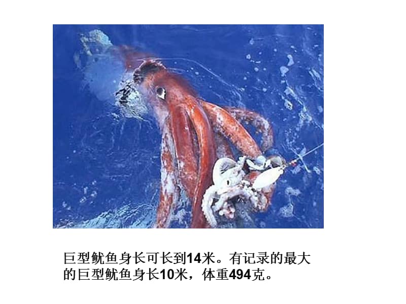 缓存原理矩阵乘法加速_squid缓存原理_缓存原理图