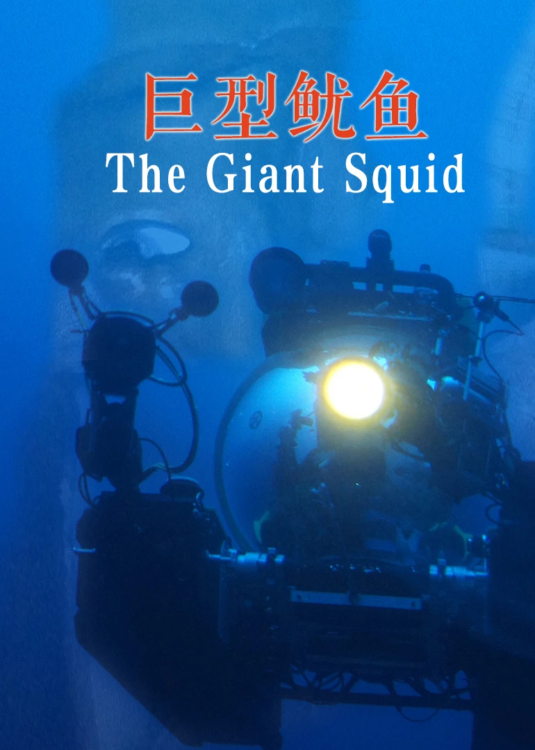 squid缓存原理_缓存原理图_缓存原理矩阵乘法加速