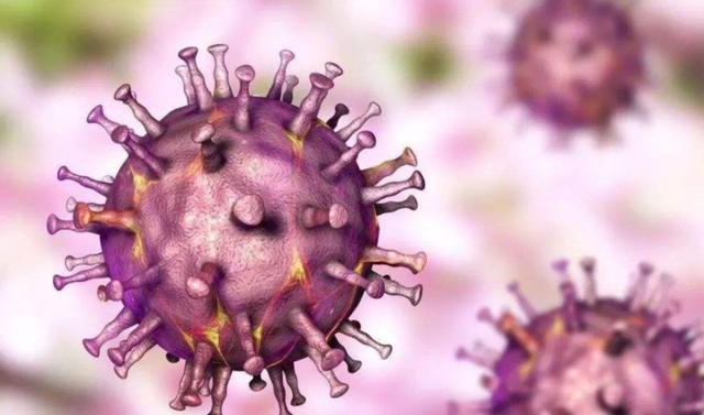 呼吸道合胞病毒灭活疫苗_呼吸道合胞病毒疫苗_呼吸合胞病毒会自愈吗