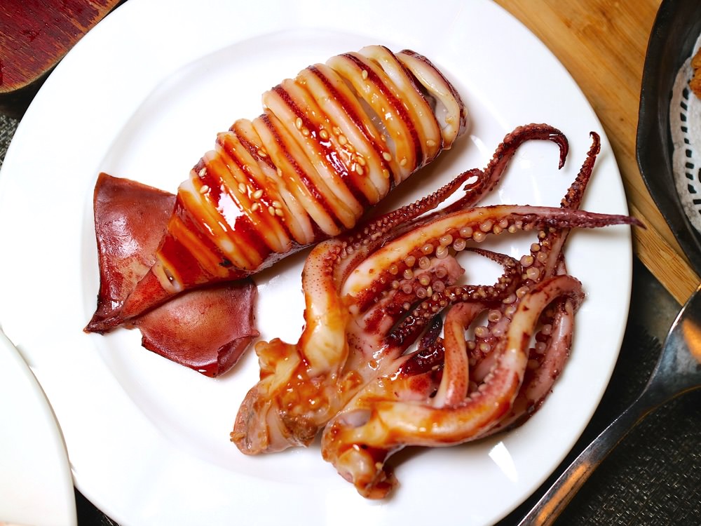 squid_squid怎么读_squid鱿鱼