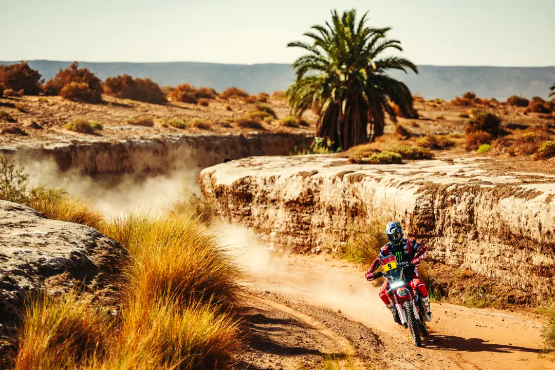 rally本田_本田雅阁_本田crv