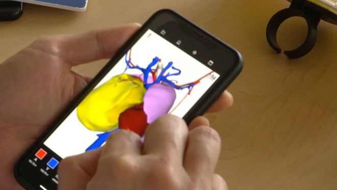 二型呼吸衰竭氧有效_呼吸衰竭用氧的原则_呼吸衰竭氧疗包括