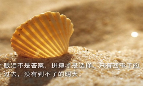 改造道路方案设计规范_道路改造设计方案_改造道路方案设计怎么写