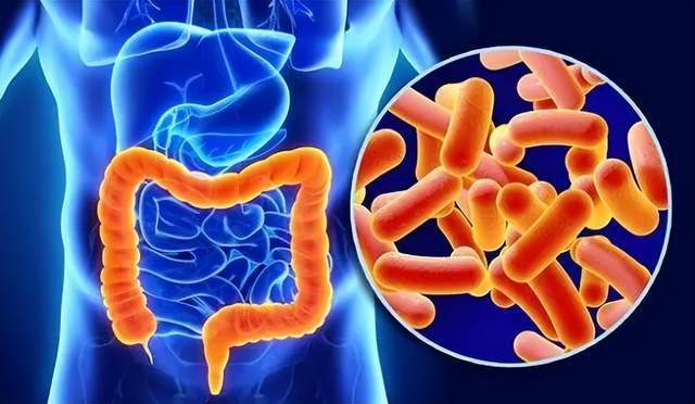 克罗恩氏病的饮食_克罗恩饮食指导软件_克罗恩病膳食指南