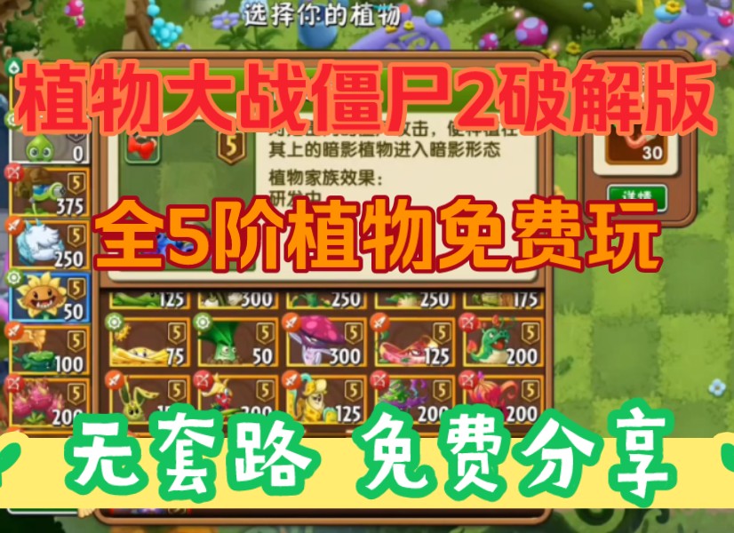 番茄花园装机系统_番茄花园xp系统安装步骤_番茄花园xp系统安装