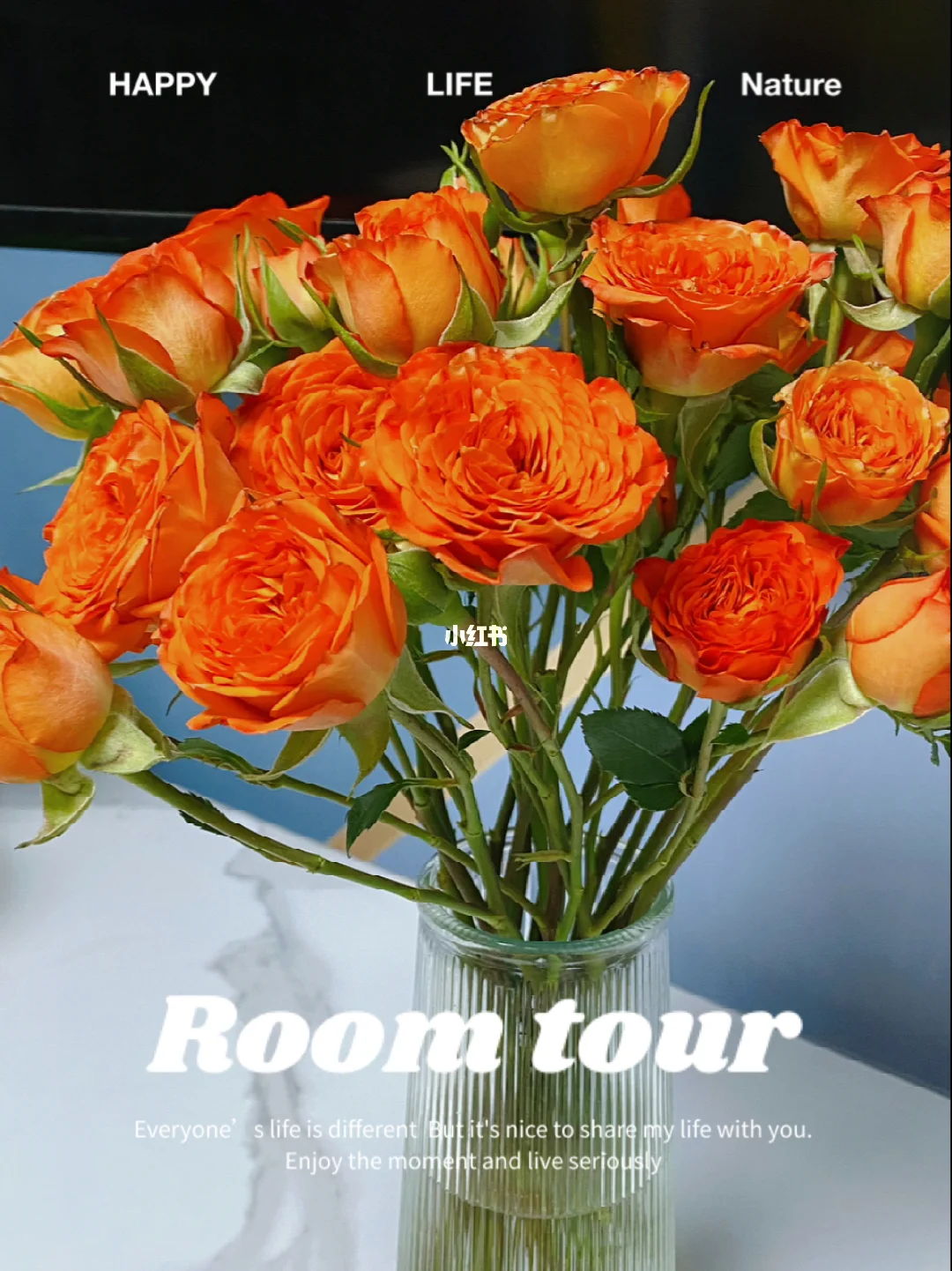 番茄花园xp系统安装_番茄花园装机系统_番茄花园xp系统安装步骤