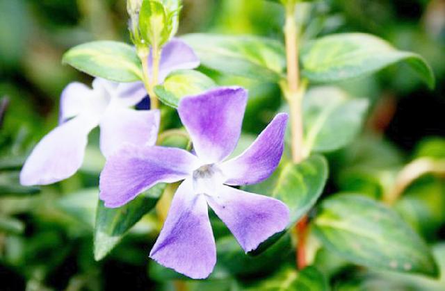 山东智汇云建筑_山东汇智工程设计公司_山东智汇云建筑怎么样