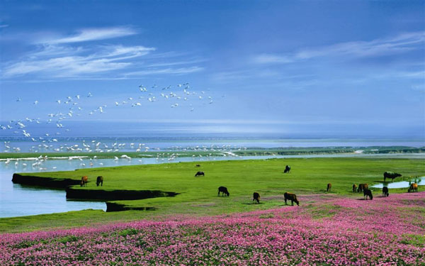 mssql sp4_mssql sp4_mssql sp4