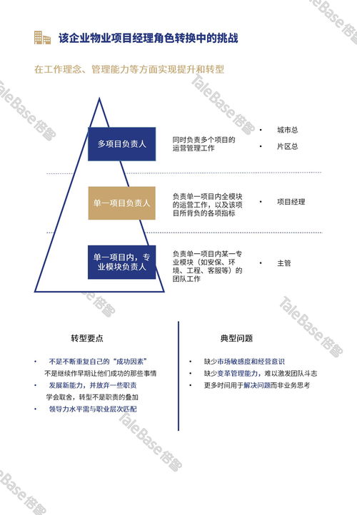 计算机信息系统集成项目经理技术手册,计算机信息系统集成项目经理技术手册概述