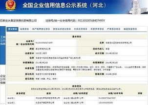 全国工商企业公示系统,企业信息透明化的守护者