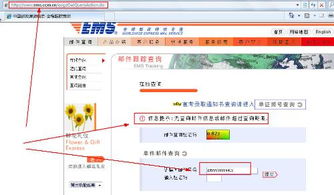 ems邮件查询系统,全面解析EMS邮件查询系统——轻松掌握快递动态