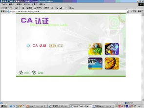 ca认证系统价格,全面了解认证成本与价值