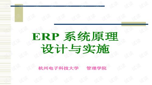 erp系统ppt模板,ERP系统PPT模板——打造专业演示文稿的利器