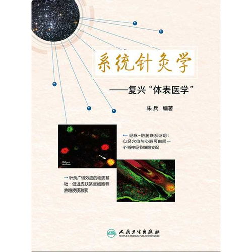 《系统针灸学》,系统针灸学概述