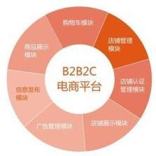 b2b2c电子商务系统,融合B2B与B2C的商业模式解析