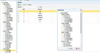 delphi进销存系统,企业信息化管理的得力助手