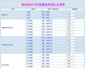 2019贵州省高考志愿填报系统,贵州省高考志愿填报系统