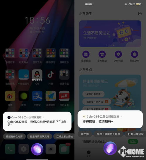 9系统和13,windows13系统下载官网