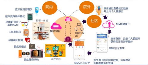 CYP系统代谢慢怎么,CYP系统代谢慢的原因及应对策略