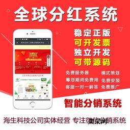 786商城分红系统,创新电商模式的盈利之道