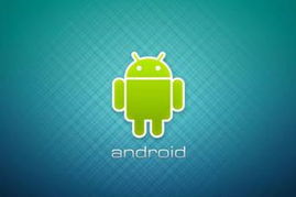 android 系统级应用,深入解析其特性与开发要点