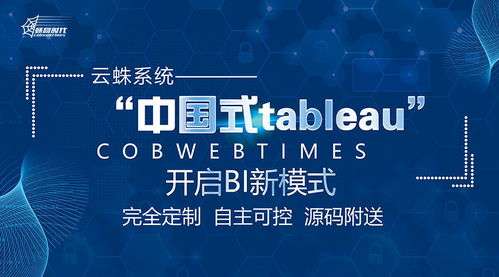 bi系统可视化,数据驱动决策的利器