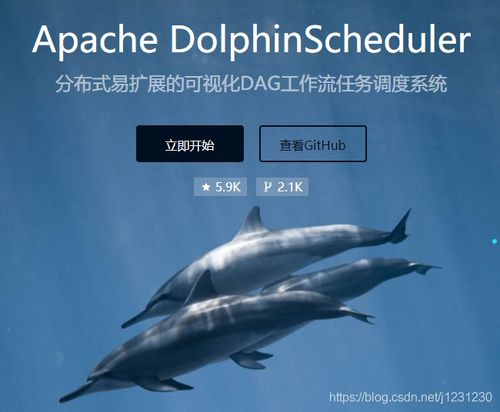 dolphin系统,引领科技前沿的综合导航解决方案