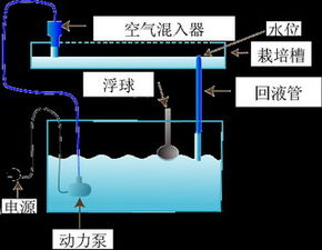 AS循环系统,自动化仓储解决方案的革新之路