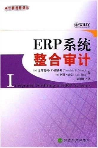 erp系统对审计,ERP系统在现代审计中的应用与价值