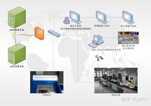检验科lis系统,检验科LIS系统在现代医疗体系中的重要作用