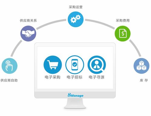 dianzi招标系统,电子招标系统在现代招标投标领域的应用与优势