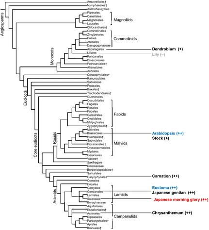 apg系统网,技术原理与应用前景