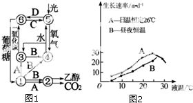 359生命能量测试系统,探索生命奥秘——359生命能量测试系统全面解析