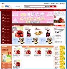 b2c独立网店系统,B2C独立网店系统的崛起与优势