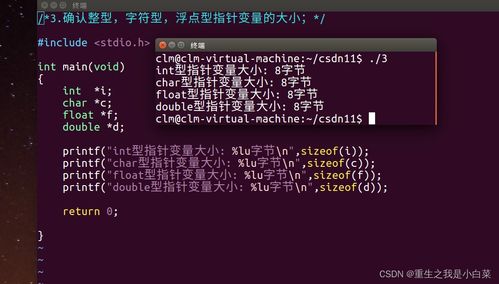 64位系统指针大小,深入解析64位系统中的指针大小