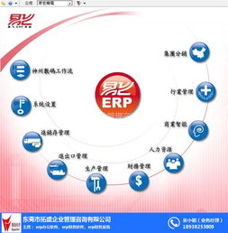 erp系统的应用,ERP系统在现代企业中的应用与价值