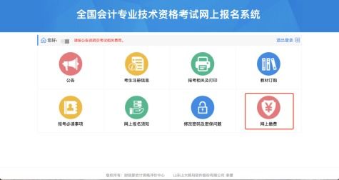 cpa缴费系统,全面解析CPA缴费系统——便捷高效的专业会计师认证缴费平台