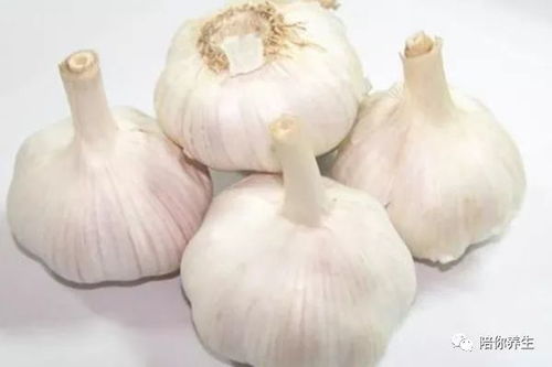 35xx刷大蒜系统,智能农业的创新解决方案