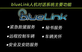 bluelink系统,智能互联的未来之路