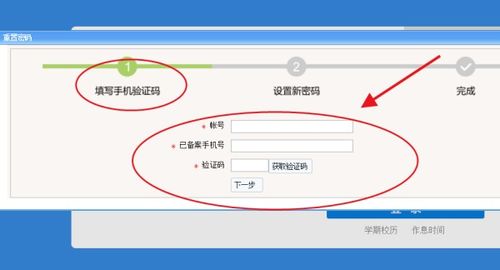 curl 教务系统,使用cURL技术轻松实现教务系统自动化操作