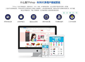 b2b2c网店系统,构建高效电子商务生态圈的关键