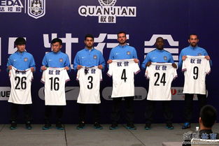 2015信息管理系统权健,信息系统管理平台