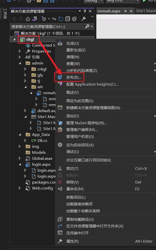 c  web 管理系统,深入解析C Web管理系统的设计与实现
