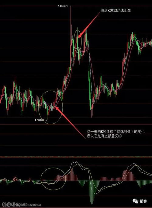 5分钟外汇均线交易系统,高效捕捉市场趋势的利器