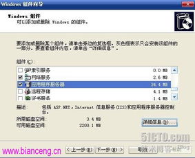 2003系统iis,Windows Server 2003系统下IIS的安装与配置指南