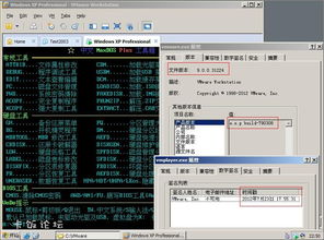 32虚拟机 64位系统,操作指南与注意事项